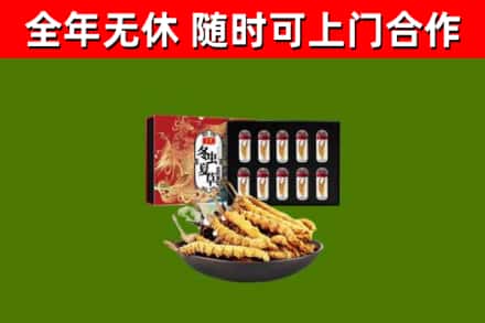 沈北新区回收冬虫夏草价格